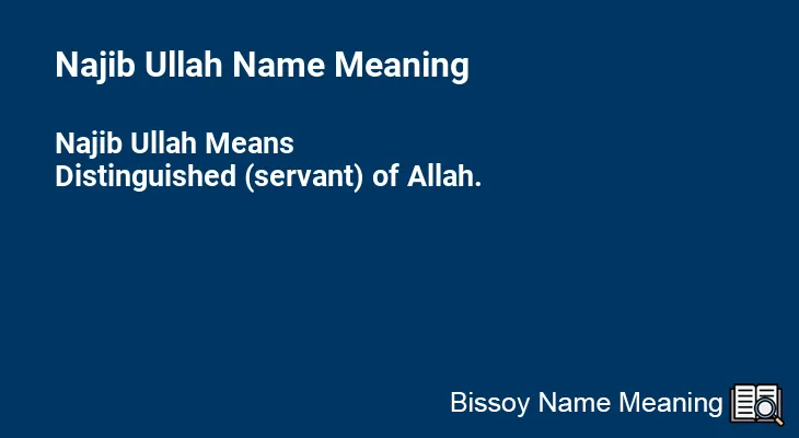 Najib Ullah Name Meaning